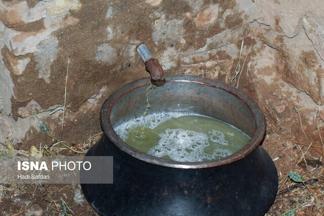 کام شیرین "گلچشمه" از حسن ختام تابستان