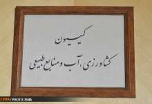 ضرورت مشورت دولت با کمیسیون کشاورزی در مورد حذف ارز ترجیحی