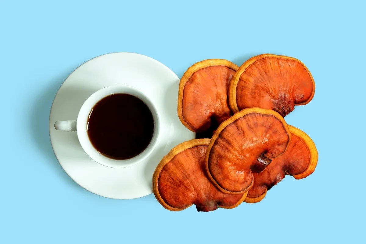 قهوه گانودرما برای چه بیماری خوبه
