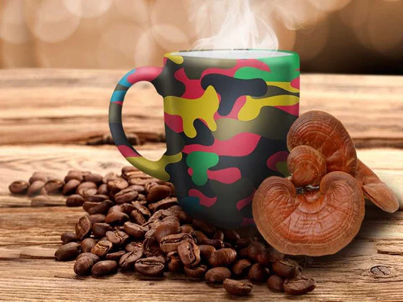 Ganoderma coffee consumption during breastfeeding