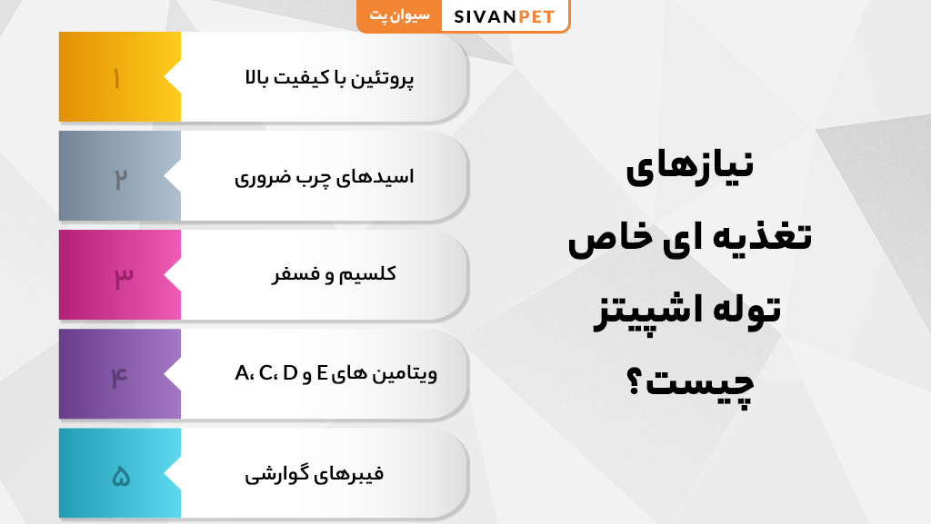 رژیم غذایی توله سگ اشپیتز چگونه باید باشد؟